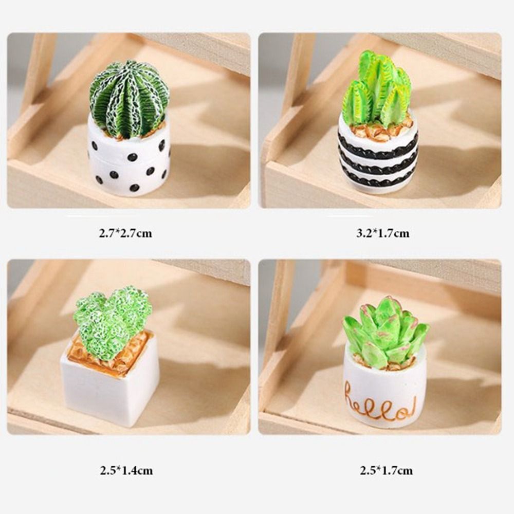 Tanaman Miniatur Pot 1:12 untu - Bonsai Garden House ulasan dan harga
