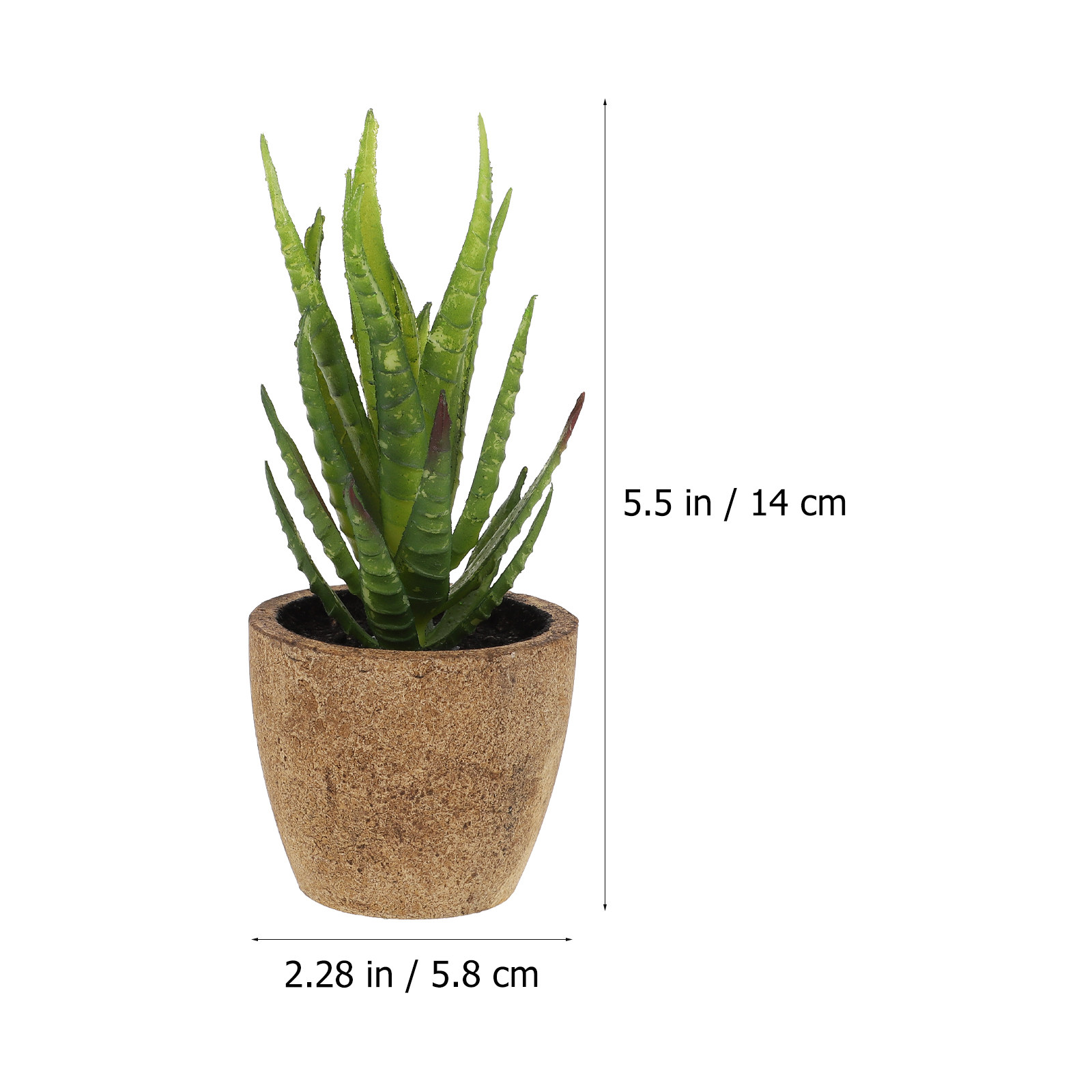 4Pcs Tanaman Sukulen Bonsai Bu - Bonsai Garden And Cafe ulasan dan harga