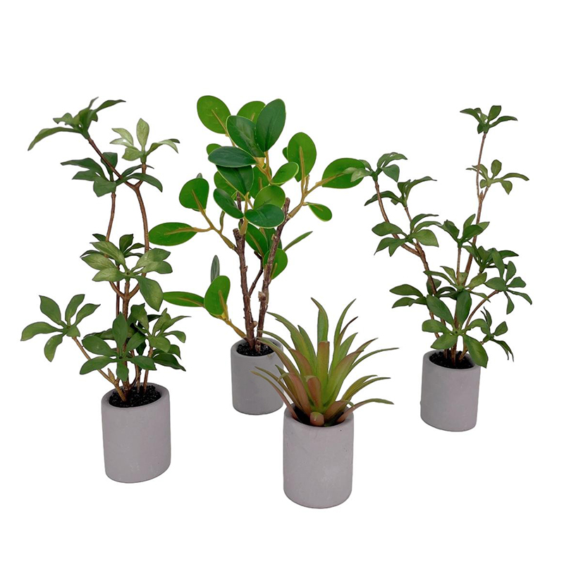 1:6 miniatur rumah boneka Pot  - Bonsai Garden House ulasan dan harga