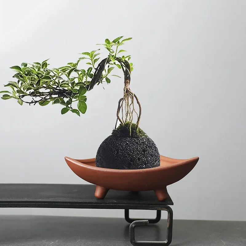 Pot bunga keramik personalisas - Japanese Garden Bonsai ulasan dan harga