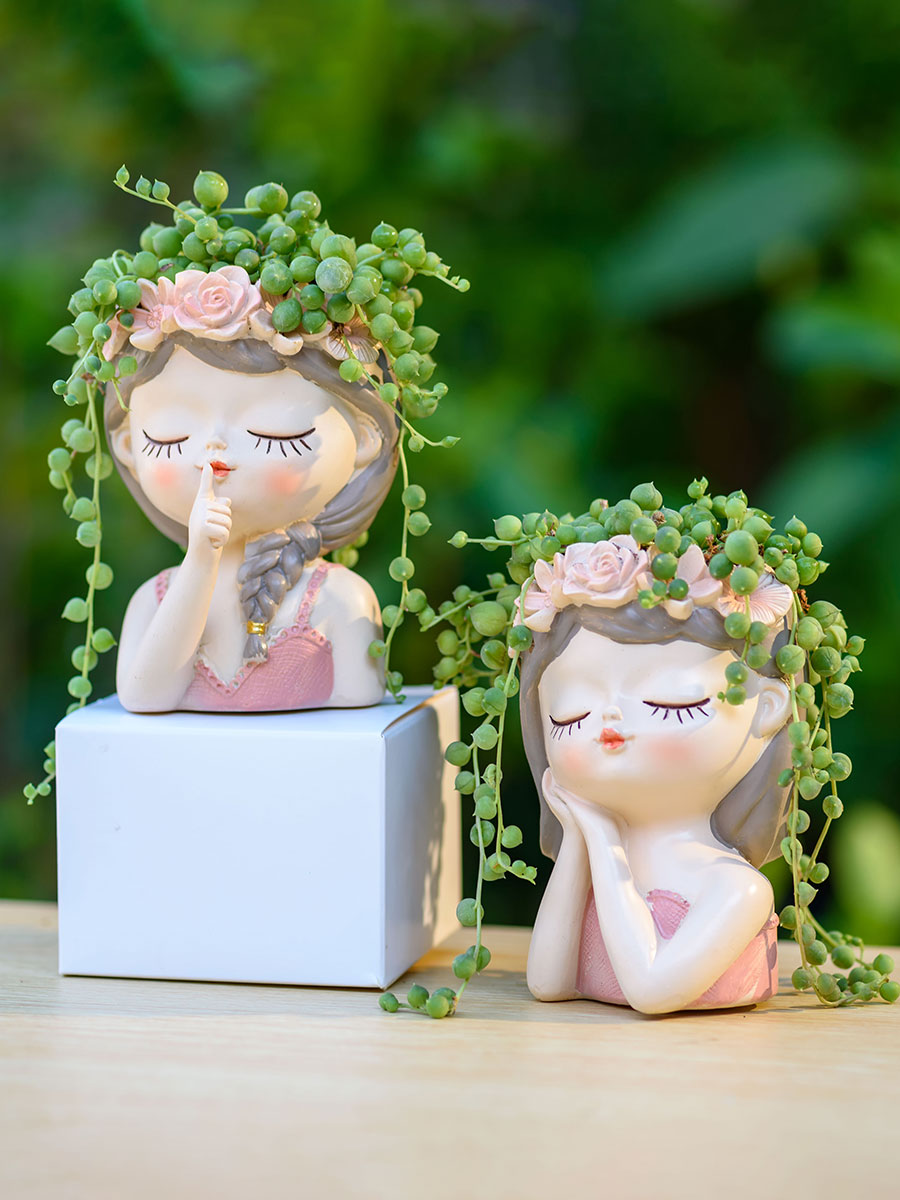 Peri sukulen Pot bunga kaktus, - Japanese Garden Bonsai ulasan dan harga