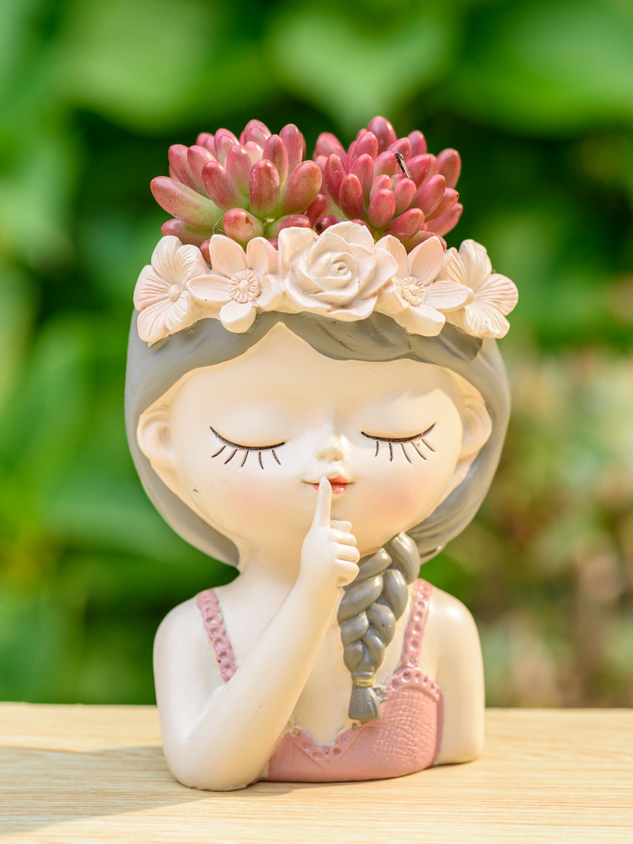 Peri sukulen Pot bunga kaktus, - Japanese Garden Bonsai ulasan dan harga